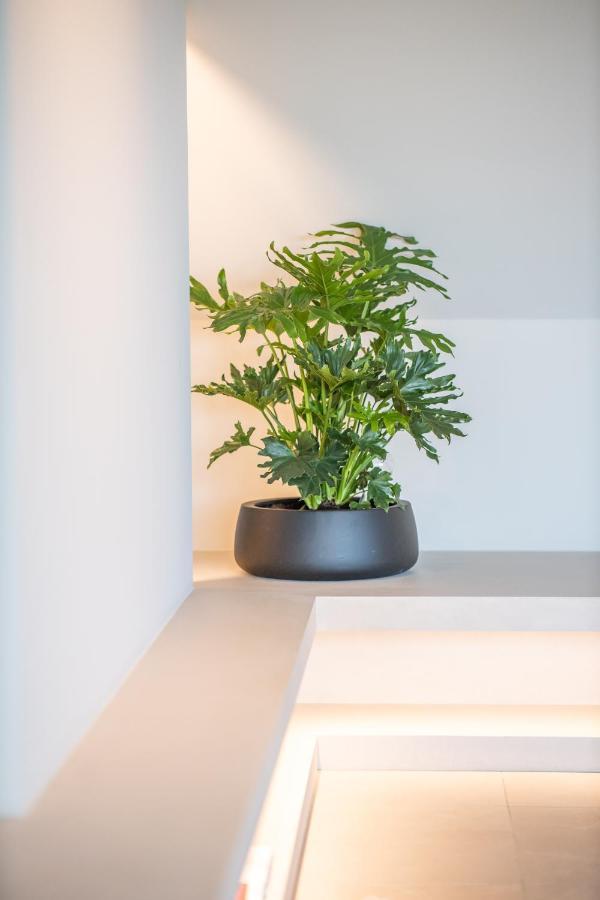 The Penthouse Nami, Branding, Ultra Luxurious Japanese Design Sea View * Cadzand